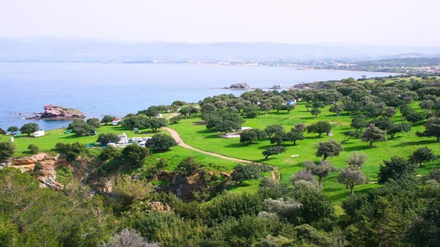 Immagine -  Tour di Pigmalioni