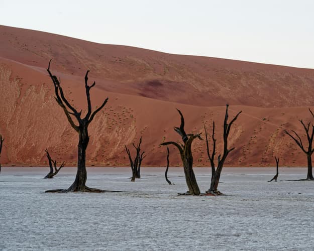 Image - Safari "Entdeckungsreise Namibia"