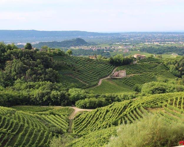 Immagine - Tra colline e sentieri: Valdobbiadene da scoprire