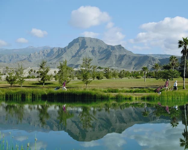Beeld - Golfen op Tenerife