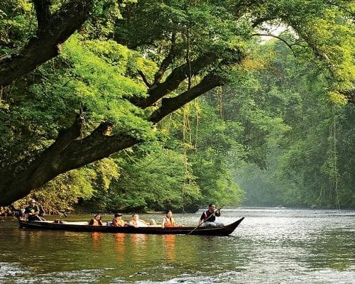 Image - Kurztour  "Taman Negara & Cameron Highlands" 