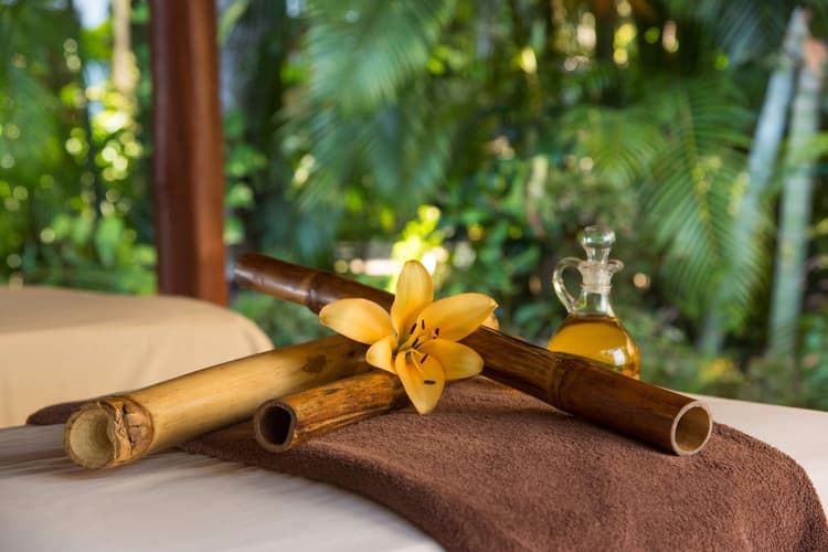 Imagen - Costa Rica Tropical | Occidental Tamarindo 