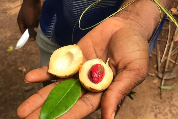 Imagine - Sejur charter, Descopera condimentele din Zanzibar, Tanzania