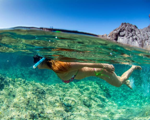 Imagen -  Combinado Tenerife+Gran Canaria 