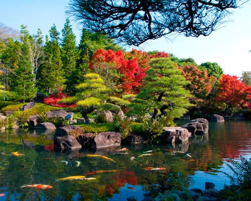 Imagen - Japón Fascinante