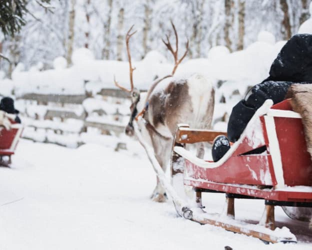 Imagine - Aventura in Laponia, Finlanda - februarie 2026