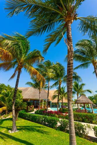 Imagen - Paquete a Riviera Maya | Grand Palladium Colonial 5*