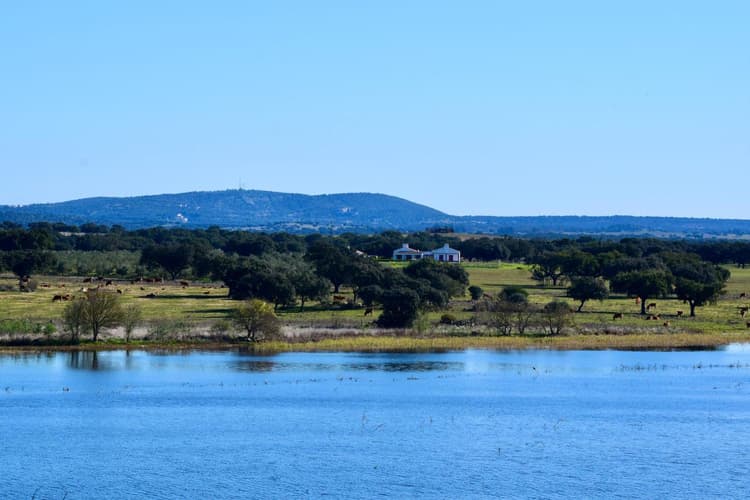 Imagem - Alentejo(Alcáçovas)-Herdade da Burquilheira-SA-Junho