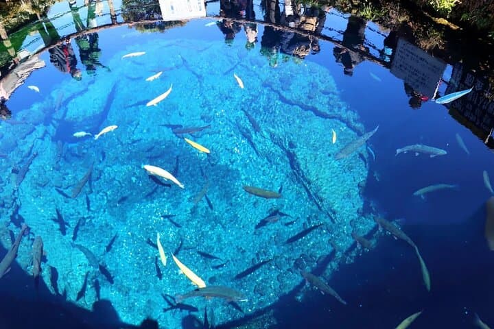 Imagen - Japan Highlights Tour