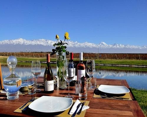 Image -   Disfrutando Viñedos & Catas por Córdoba & Mendoza