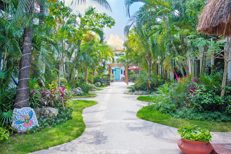 Imagen - Hotel Villas Colibrí Suites & Bungalows, Cozumel