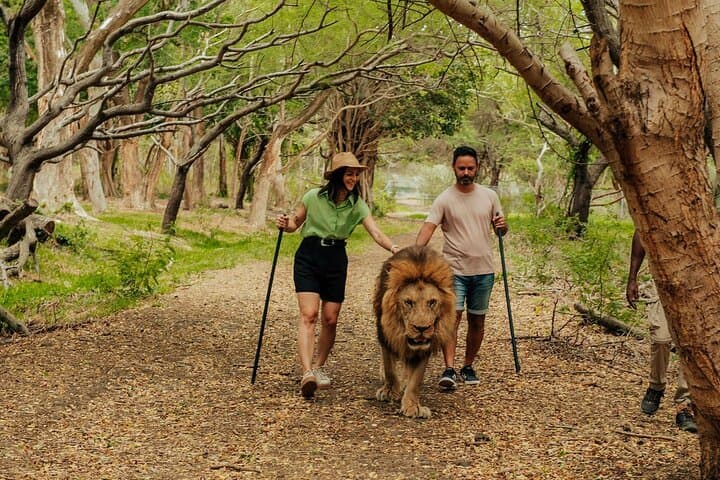 Image -  Family Trails : Discover Mauritius - May 2026