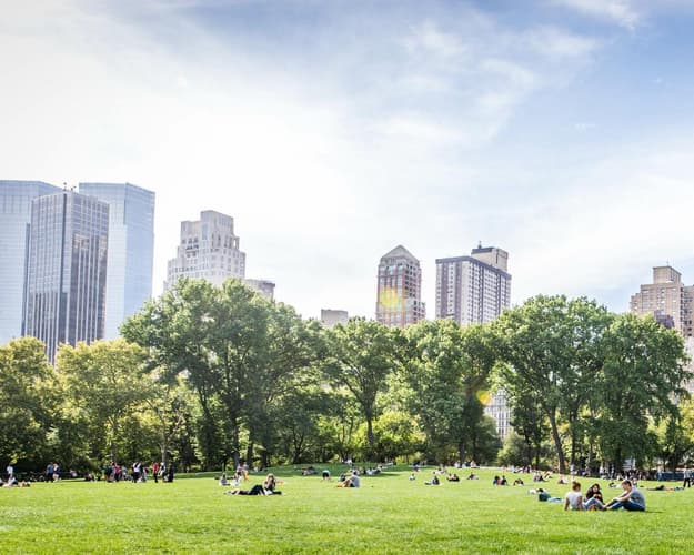 Bild - Spring in New York!