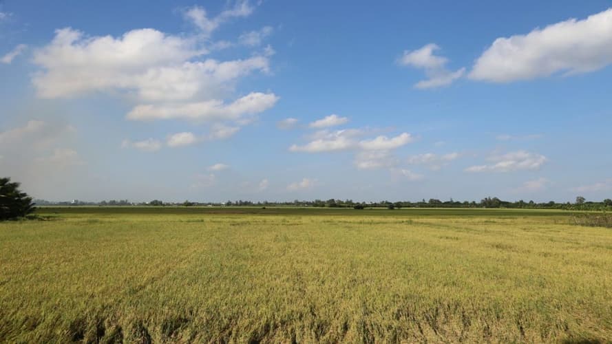 Bilde - Rundreise "Mit dem Rad durch das grüne Mekong-Delta"