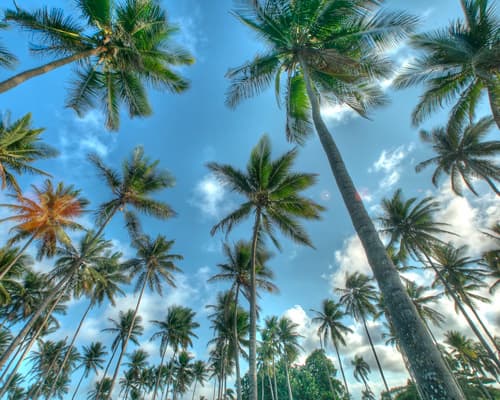 Imagen - Punta Cana con Crucero Costa - 06 de Febrero