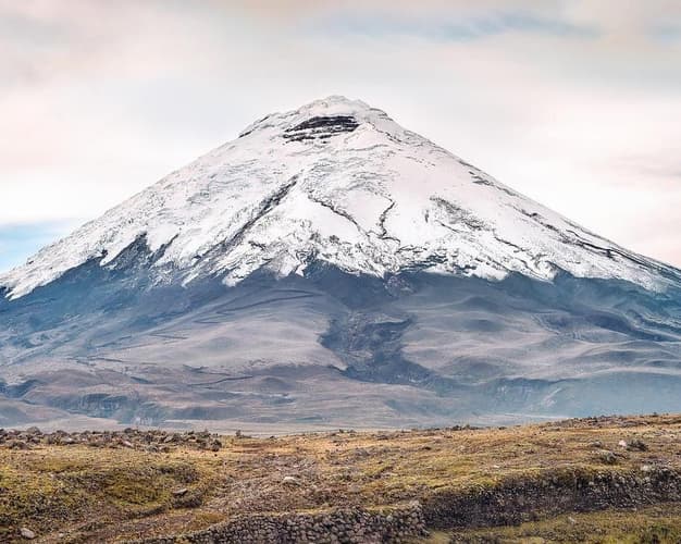 Bild - Rundreisekombi Ecuador & Galapagos