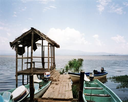 Bild - Keekorok Safari - Baby Cheetah