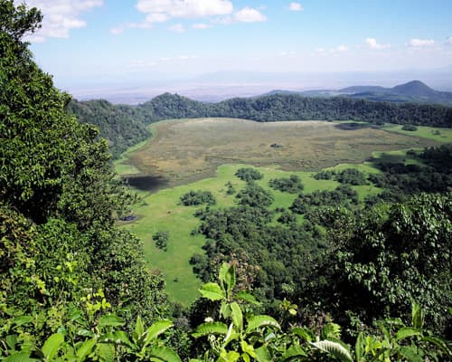 Imagen - Tanzania y Kenia (2026)