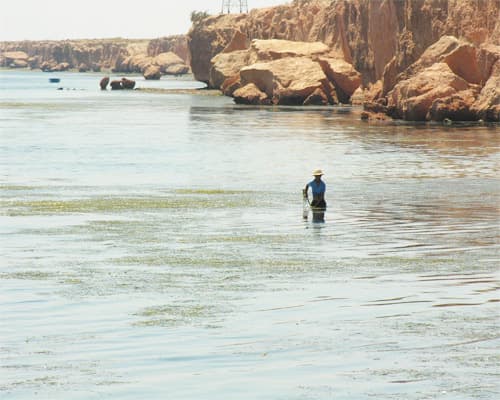 Imagen -  Djerba | Voos do Porto (7NTS) | Verão 2026 