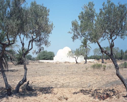 Image -  Djerba | Voos de Lisboa  (7NTS)| Verão 2026 