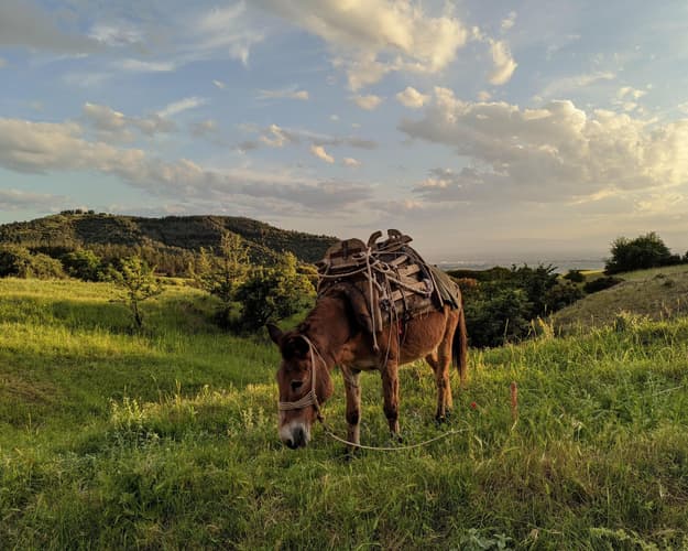 Image - Ontdek het ongerepte noorden van Griekenland & Thassos