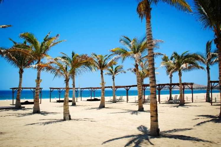 Imagen - ESCAPADA DECEMBRINAS POR 3 DÍAS EN LOS CABOS
