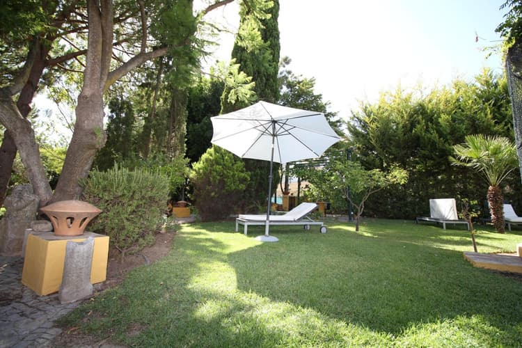 Imagem - Quinta do Caracol -Tavira-Janeiro