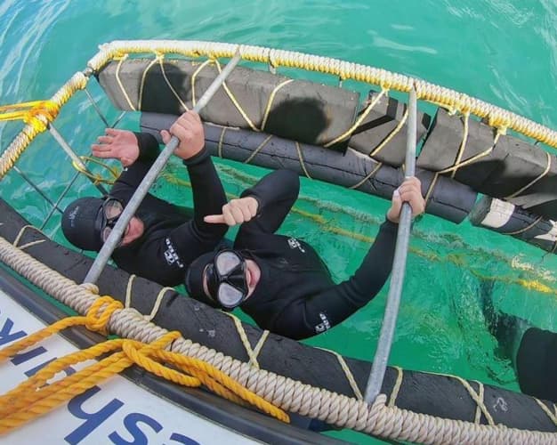 Image - Mit Haien tauchen in Kapstadt & Baden auf Mauritius