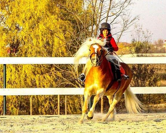 Εικόνα - 3 Days. 5* TAIF - InterContinental TAIF, an IHG Hotel (BB)