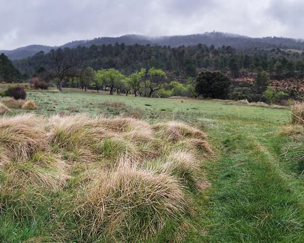 Imagen - #PUEBLOSMÁGICOS-RUTA DE CASTILLA LA MANCHA ETERNA