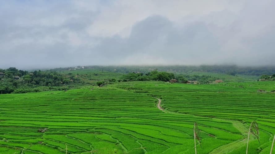 Image - Nordvietnam - leichte Wanderung um Mai Chau