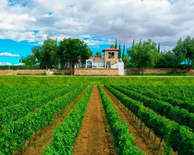 Imagen - Paquete a Tarija | Mitru 3* 