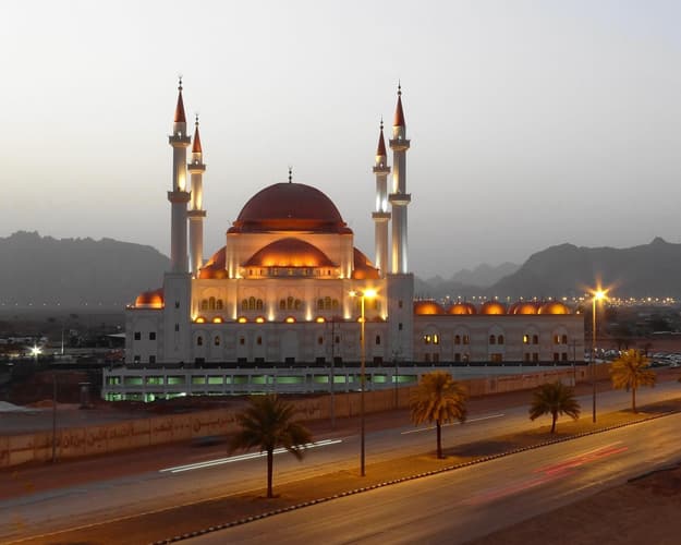 Imatge - 3N. HAIL 4* BB  - DAKKAR RALLY @12 Jan 25