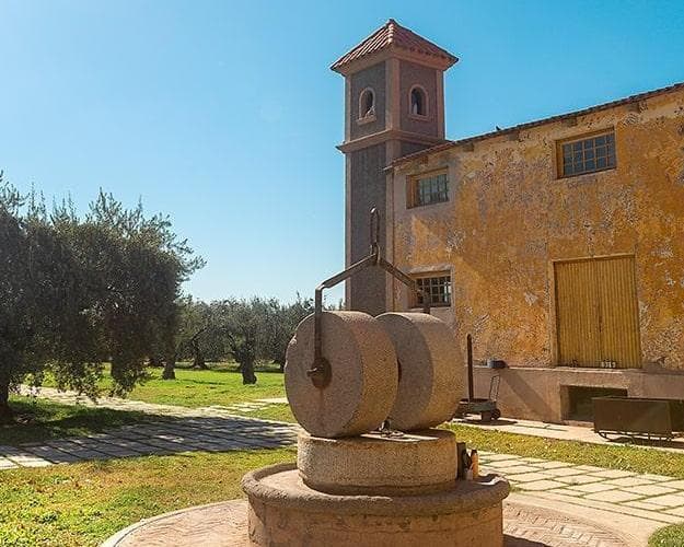 Imagen - Ruta del Sol y el Vino - Mendoza y San Rafael