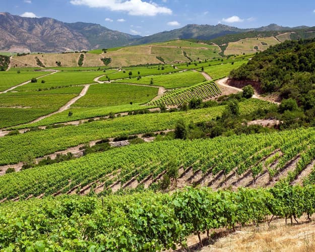 Image - Recorrido por los Valles Chilenos con vuelos