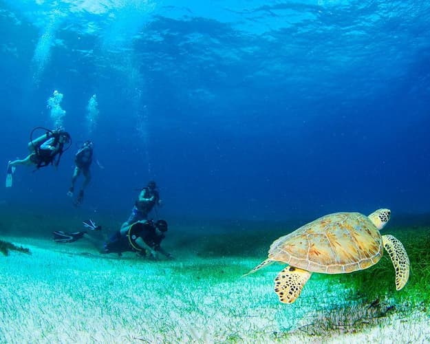 Image -  PLAYA DEL CARMEN + CANCUN - 10N - OCTUBRE