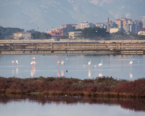 Bild - Sardiniens Strände in Cagliari genießen 