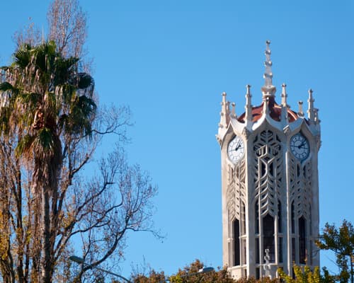 Imagen - NUEVA ZELANDA TRADICIONAL (Miércoles)