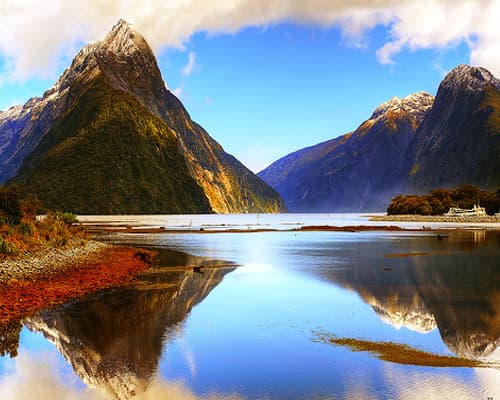 Image - NUEVA ZELANDA