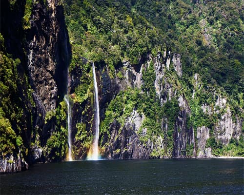Imagen - NUEVA ZELANDA