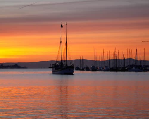 Imagem - TODO FIORDES E COPENHAGUE  falando Português