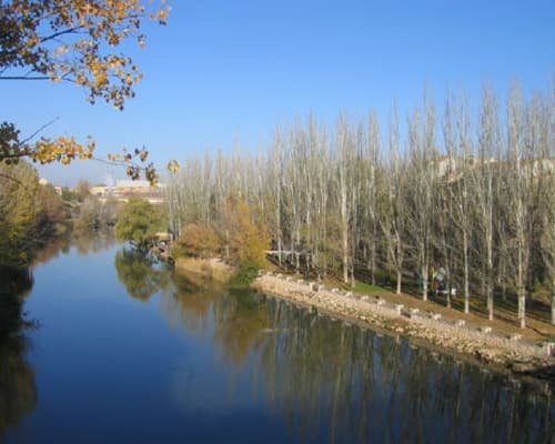 Imagem - Routing por la Ribera del Duero, siguiendo el origen del Vino.