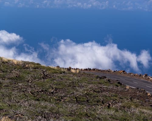 Imagen - Combinado de Lanzarote + Tenerife + La Palma