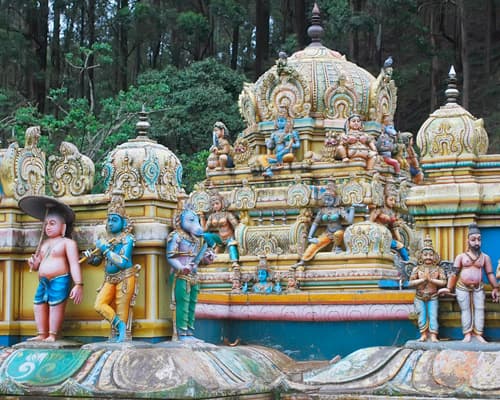 Immagine - I TESORI DELLO SRI LANKA