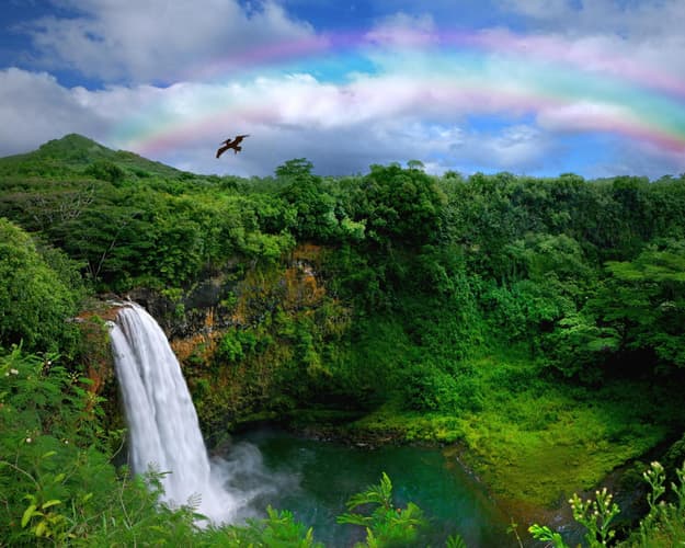 Imagen - Hawaii Island, United States Minor Outlying Islands - OCTUBR