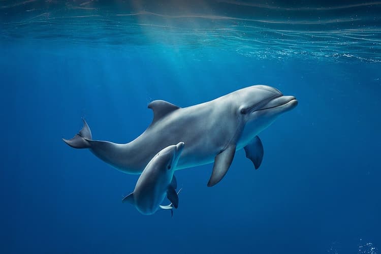 Image - Week-end a Genova