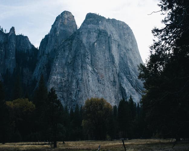 Immagine - Villa Bosco**** Predazzo 