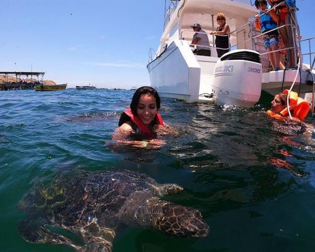 Imagem - Swim with Turtles in Máncora