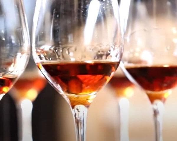 Imagine - Revelion 2026 - Vinurile & podgoriile din Madeira