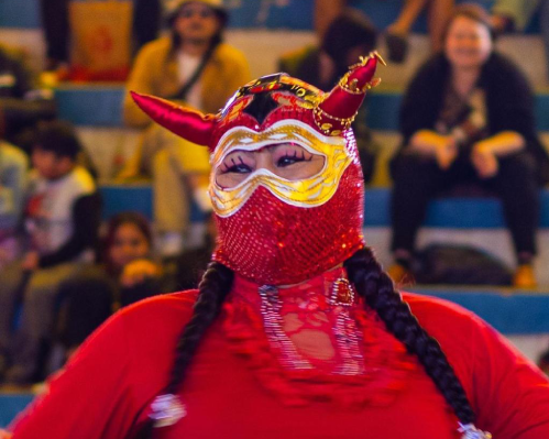Image - Actividad en La Paz | Lucha libre de cholitas